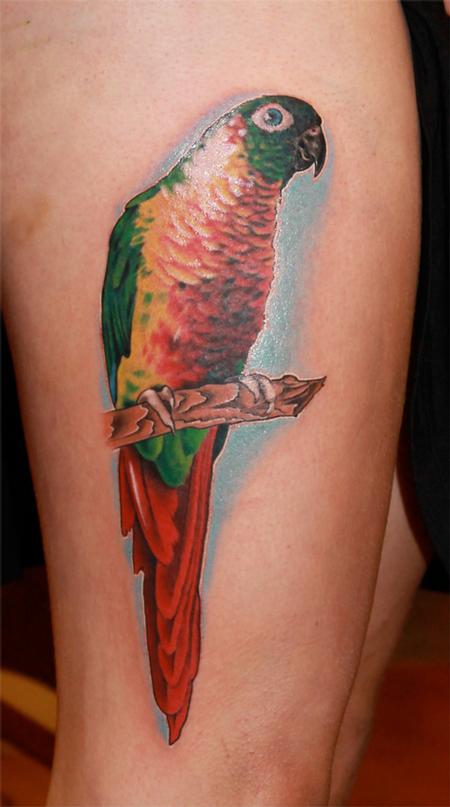 tatouage perroquet 332