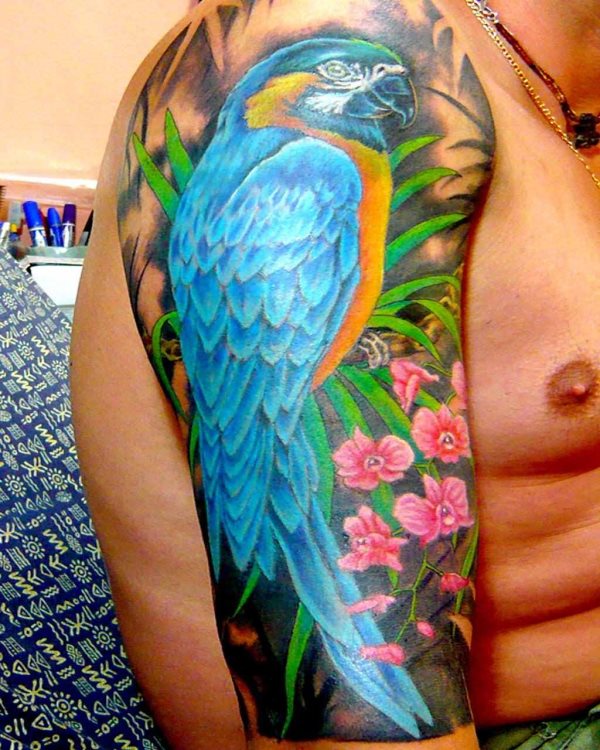 tatouage perroquet 35