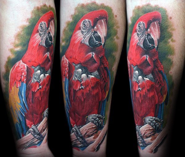 tatouage perroquet 353