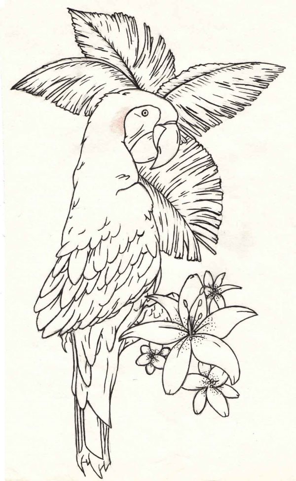tatouage perroquet 362