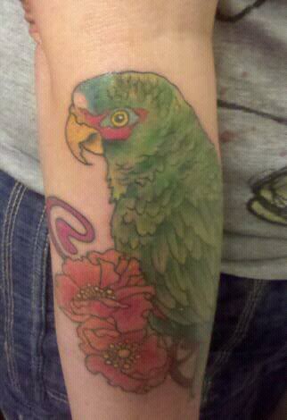 tatouage perroquet 365