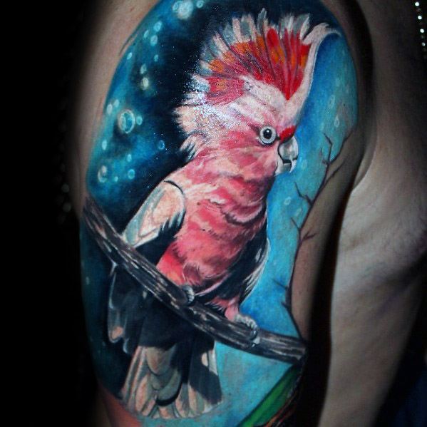 tatouage perroquet 371
