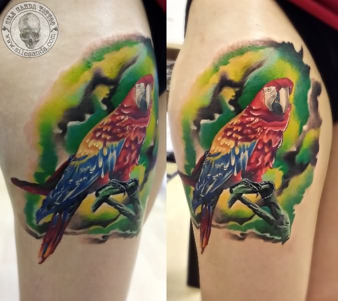 tatouage perroquet 38