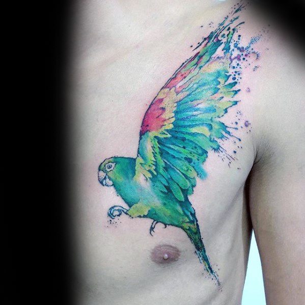 tatouage perroquet 383