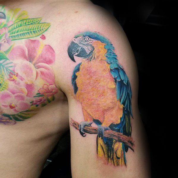 tatouage perroquet 389