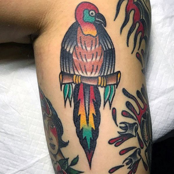 tatouage perroquet 398