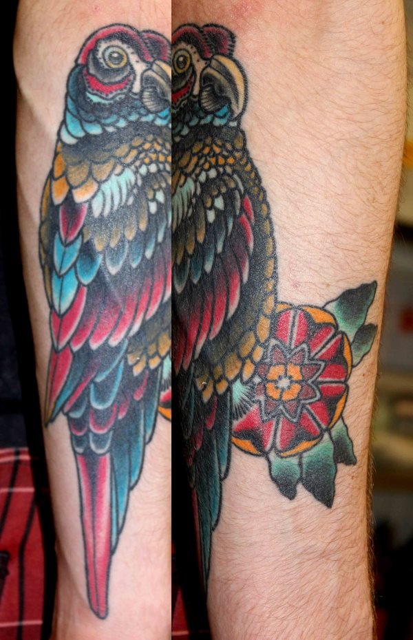 tatouage perroquet 413