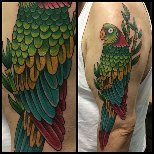 tatouage perroquet 419