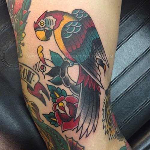 tatouage perroquet 425