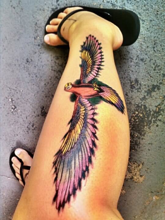 tatouage perroquet 434