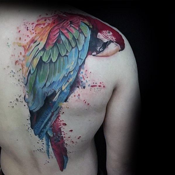 tatouage perroquet 44