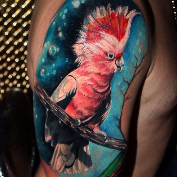 tatouage perroquet 446