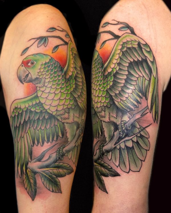 tatouage perroquet 47