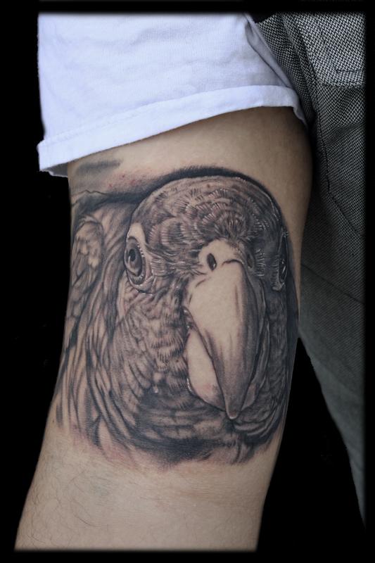tatouage perroquet 56