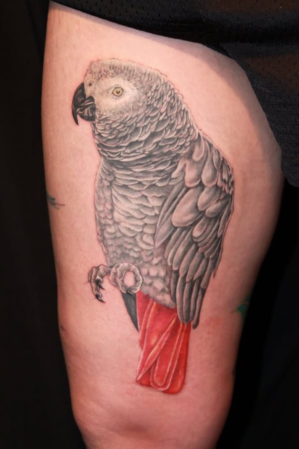 tatouage perroquet 59