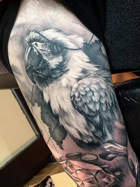 tatouage perroquet 62