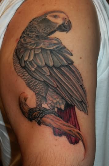 tatouage perroquet 74