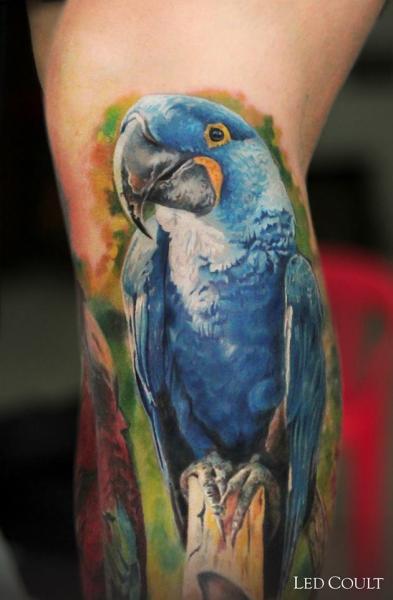 tatouage perroquet 80