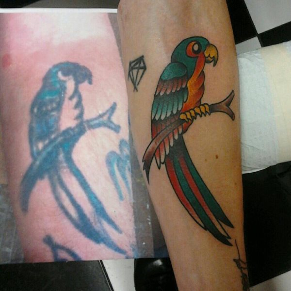tatouage perroquet 92