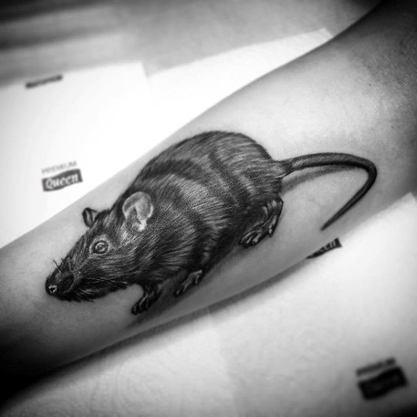 tatouage rat 77