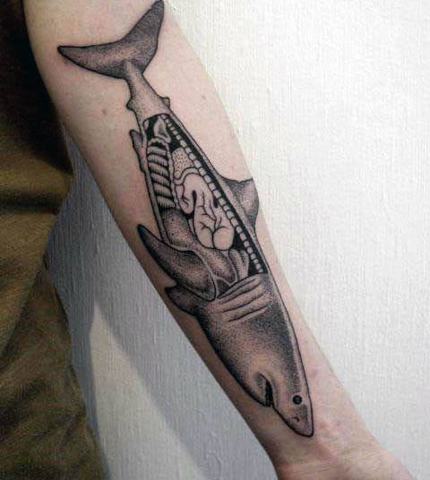 tatouage requin 170