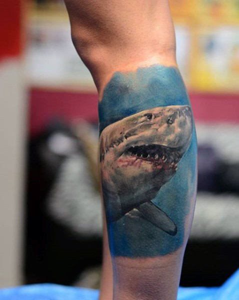 tatouage requin 185