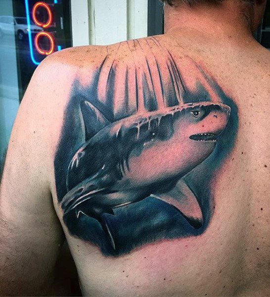 tatouage requin 215