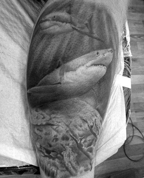 tatouage requin 224