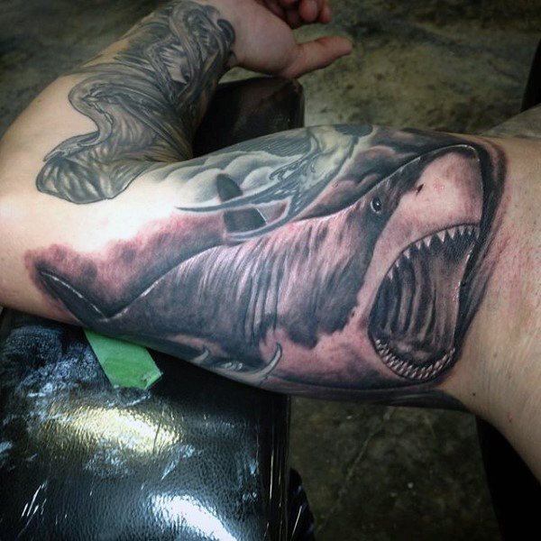 tatouage requin 269