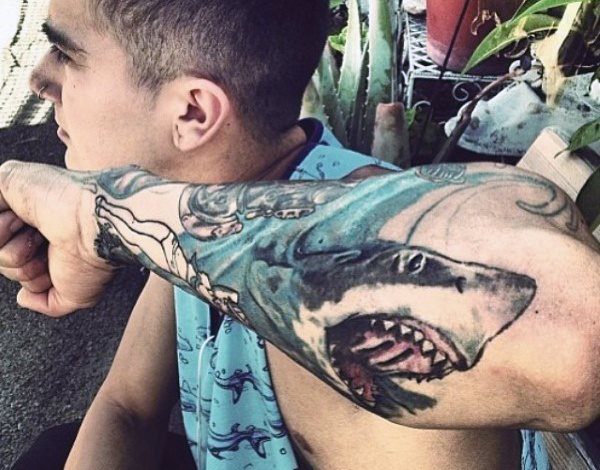 tatouage requin 350