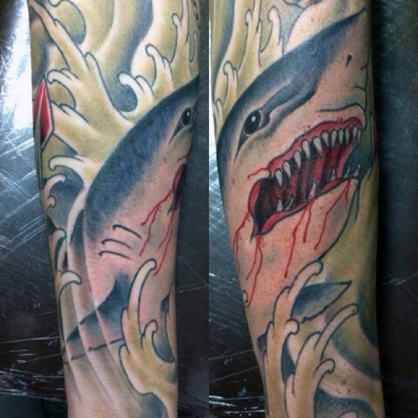 tatouage requin 380