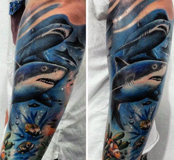 tatouage requin 392