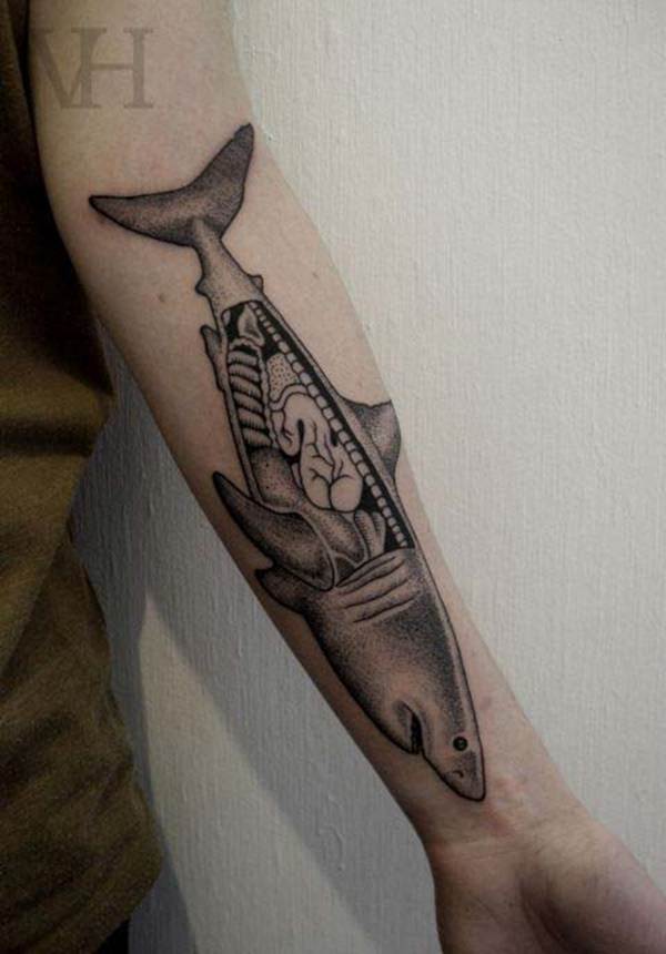 tatouage requin 41