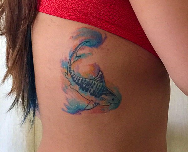 tatouage requin 65