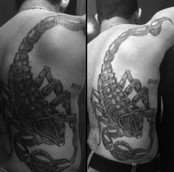 tatouage scorpion 113