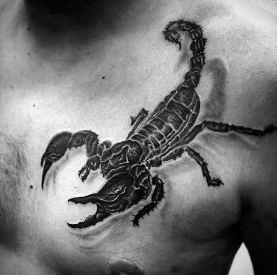 tatouage scorpion 140