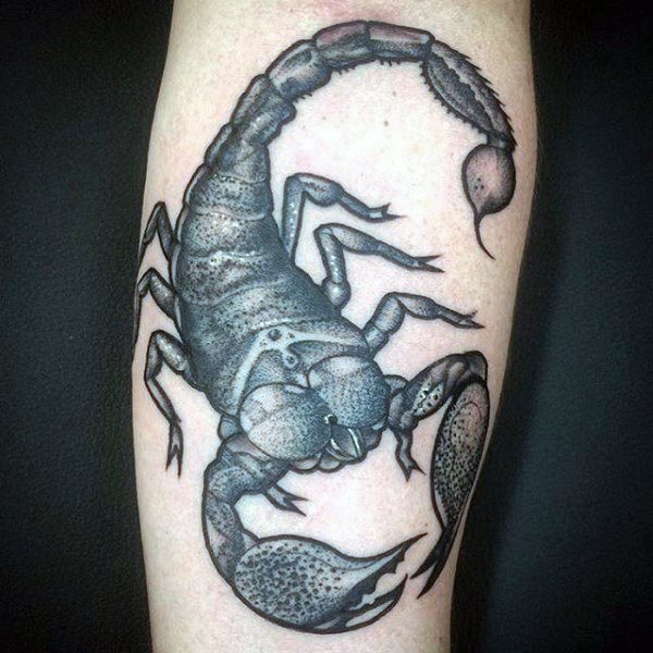 tatouage scorpion 188