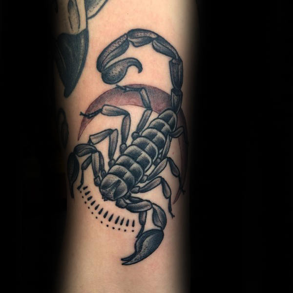 tatouage scorpion 236