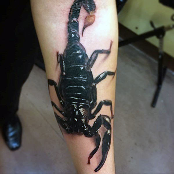 tatouage scorpion 251