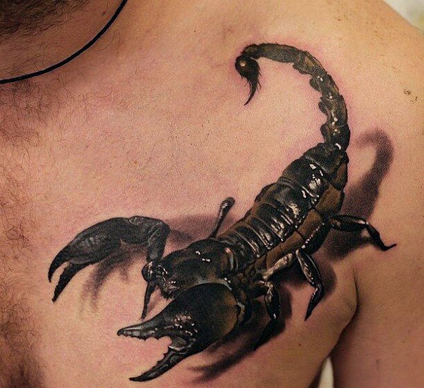 tatouage scorpion 257