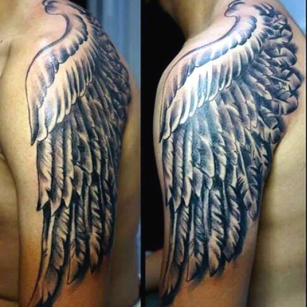 tatouage ailes 421