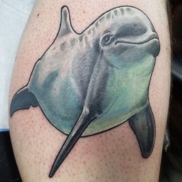 tatouage dauphin 113