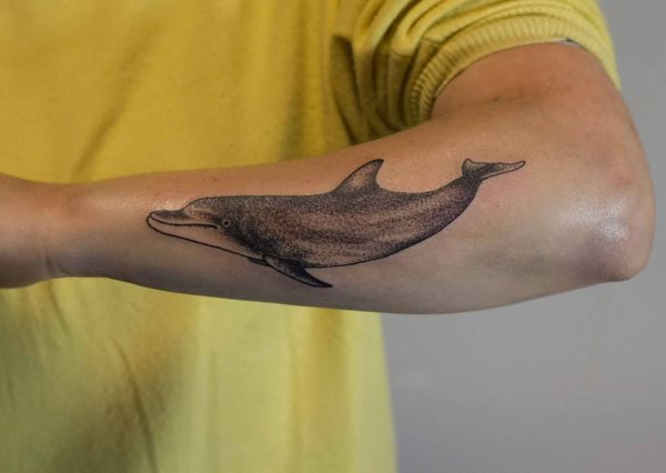 tatouage dauphin 92