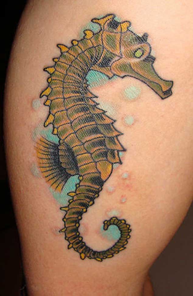 tatouage hippocampe 254