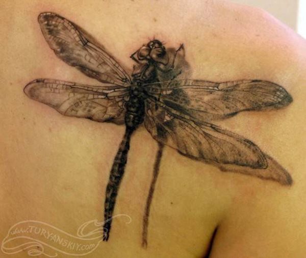 tatouage libellule 344