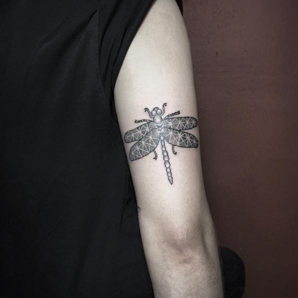 tatouage libellule 71