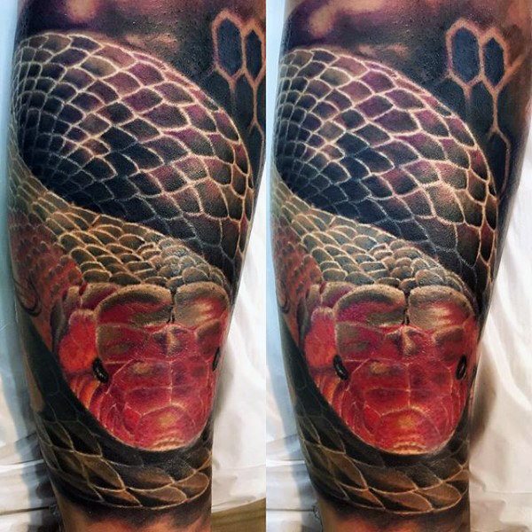 tatouage serpent 152