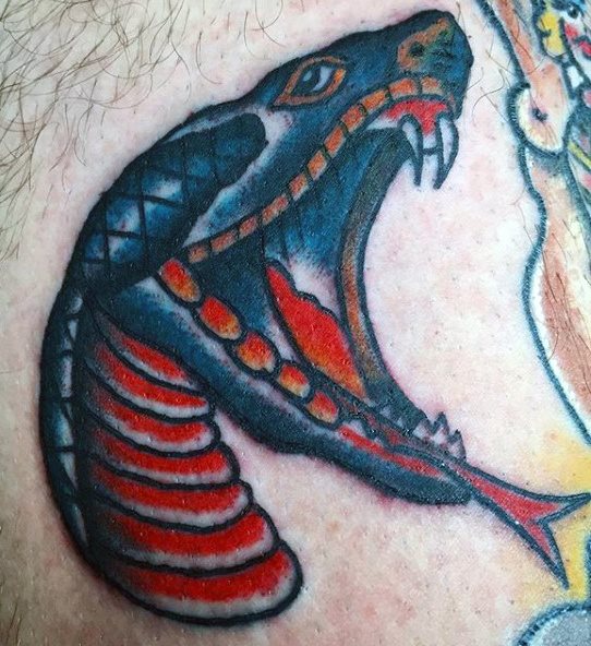 tatouage serpent 161