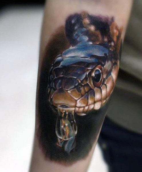 tatouage serpent 62
