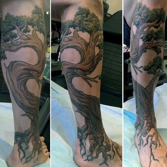 tatouage bonsai 96